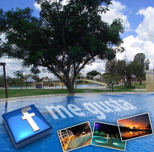 Termas Federación's icon