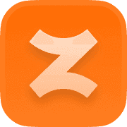ZINGA logo