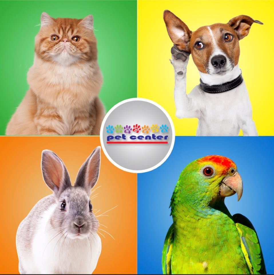 Condesa Pet Center's icon