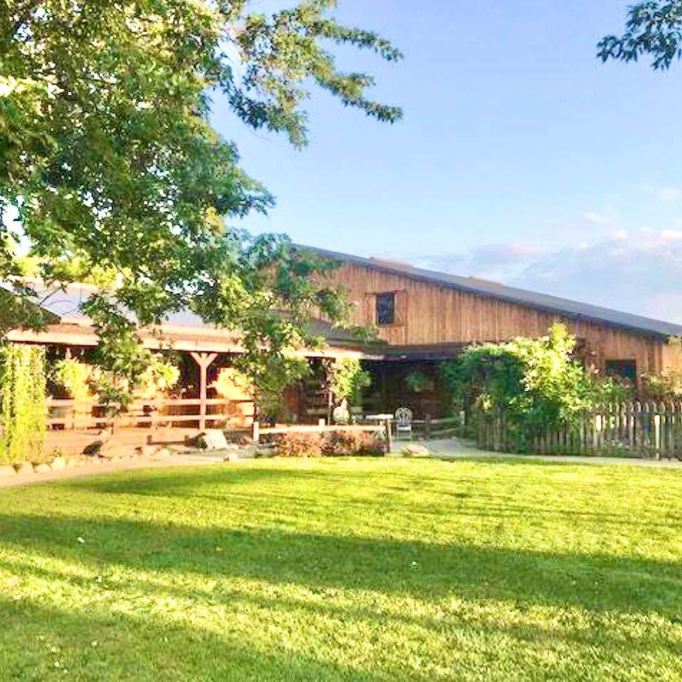 Tracy’s Doggone Farm's icon