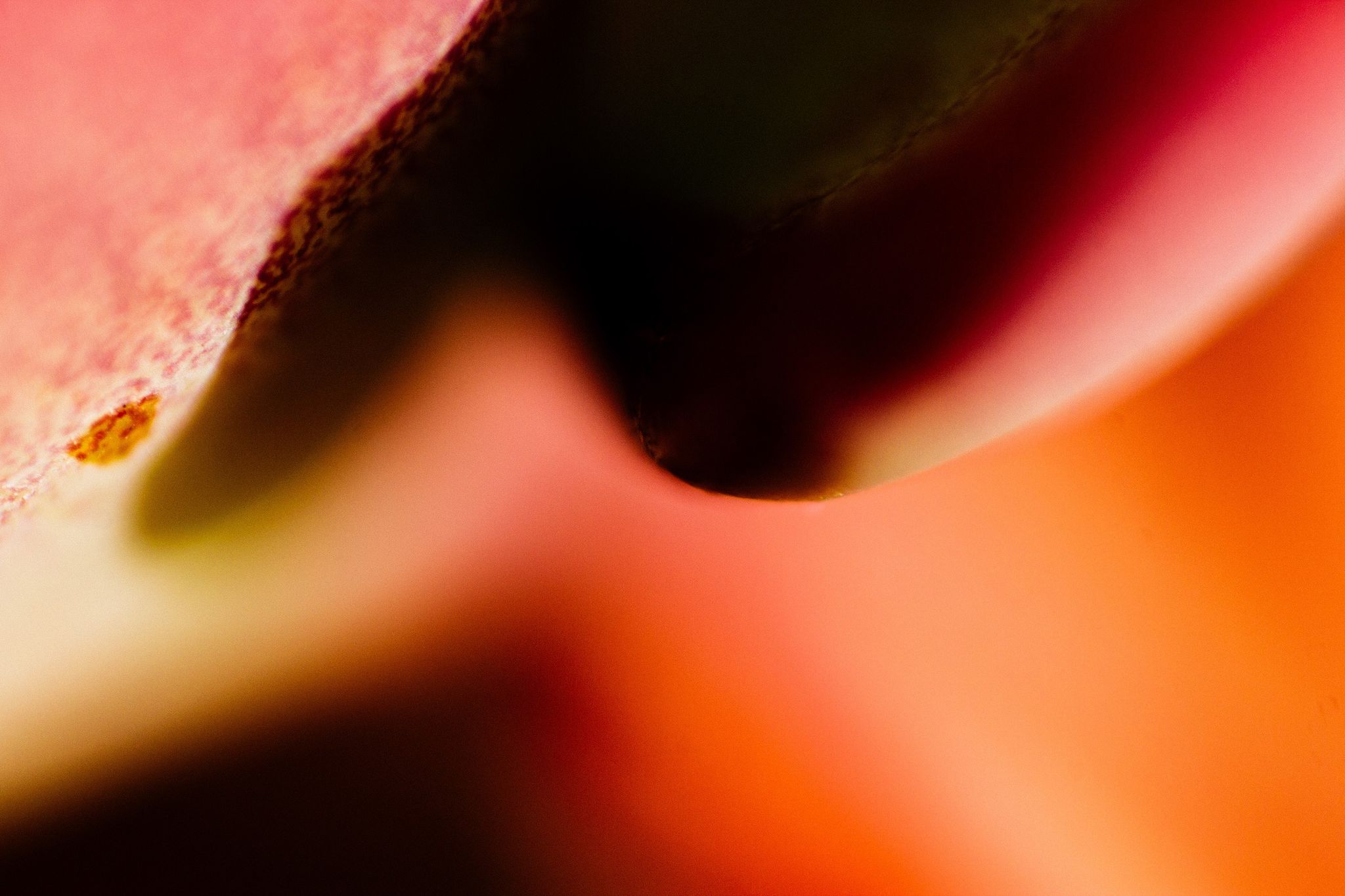 Psymerge's images