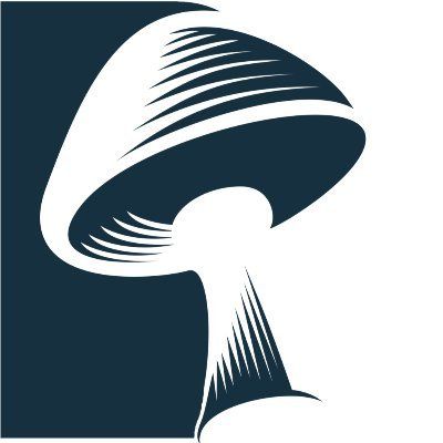 Psilobrain