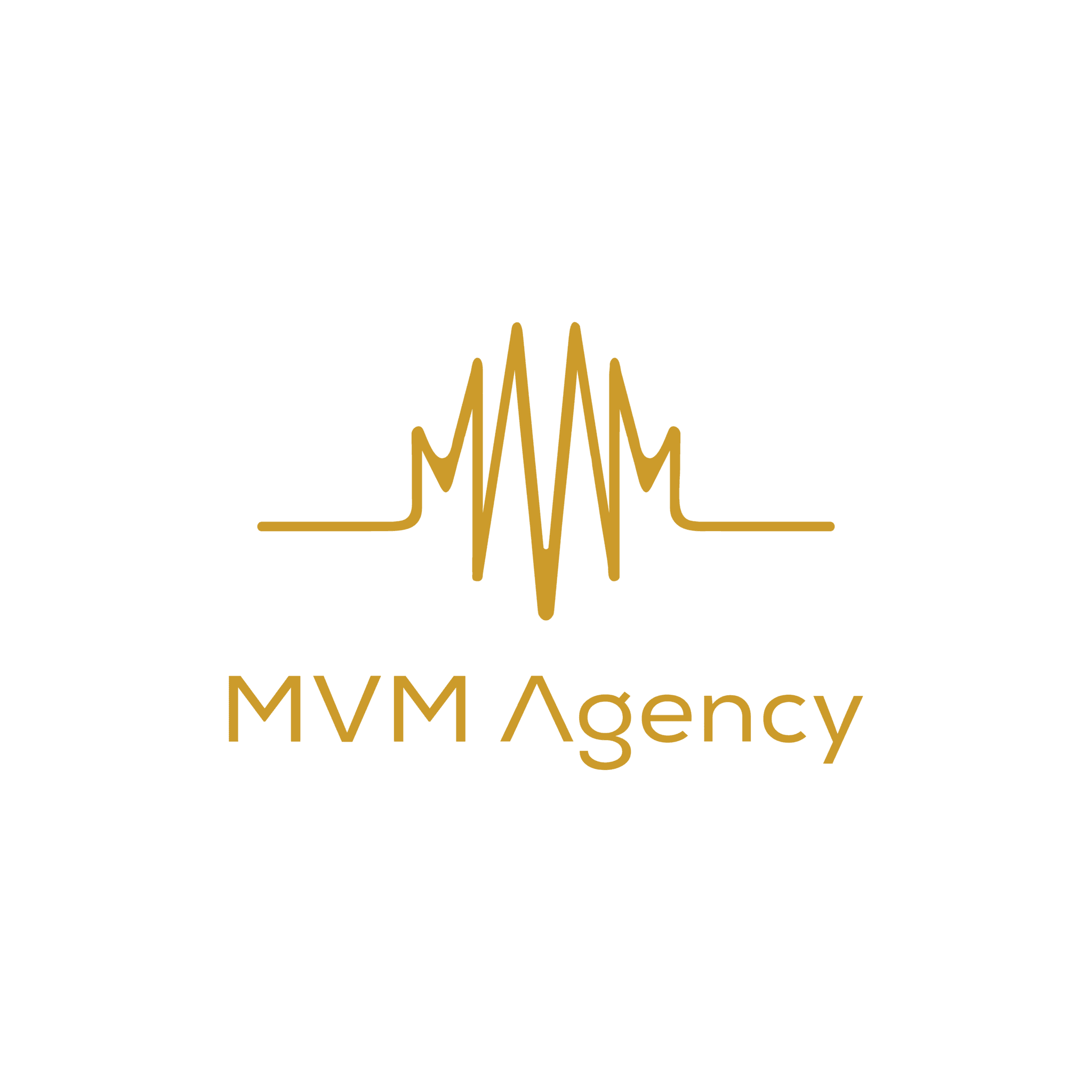 MVM Agency