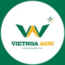 Viet Nga's icon