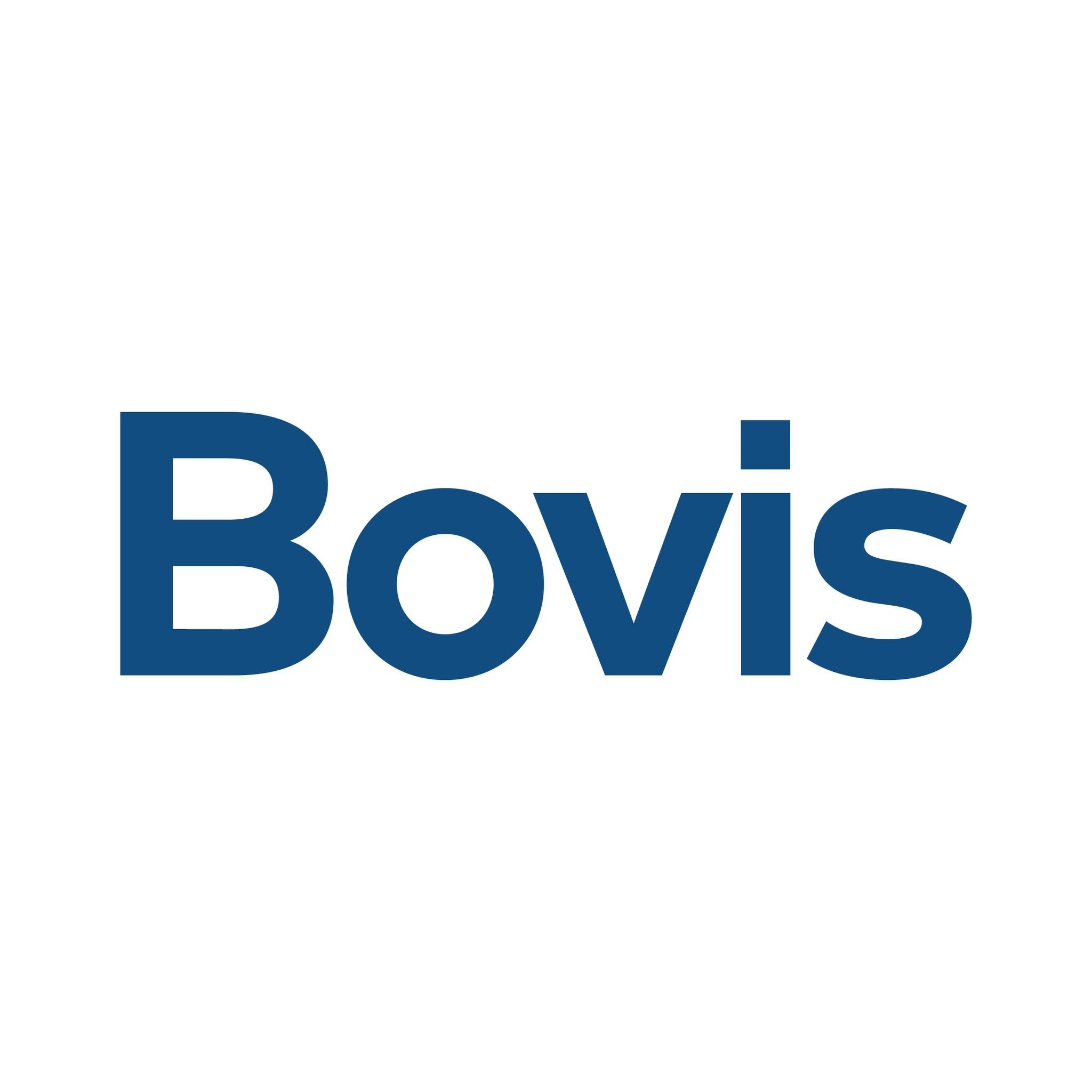 Bovis's icon