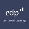 CDP Venture Capital SGR's icon