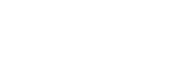 Tri Eagle LLC logo