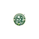 capoeira-curirin.com's icon