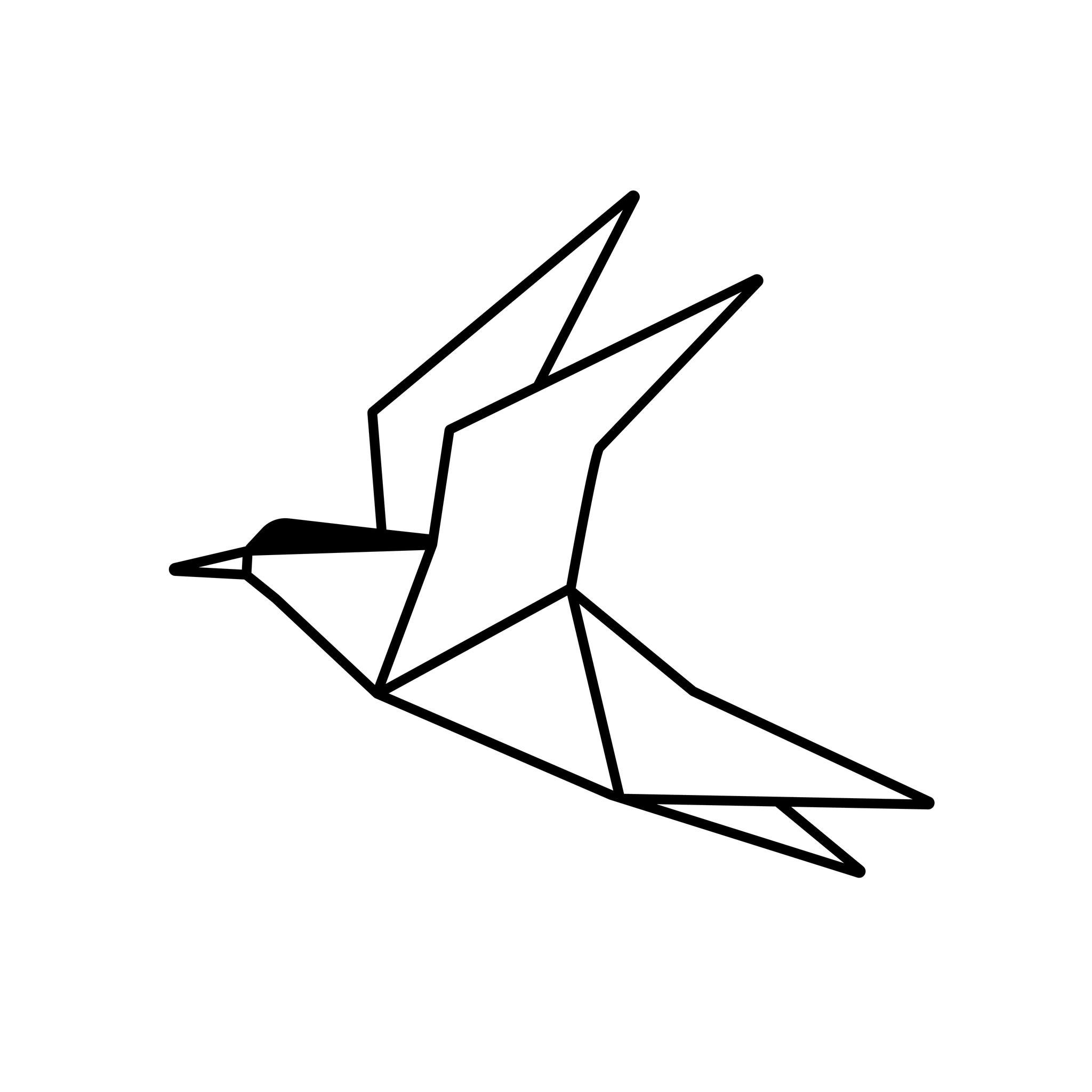 Terns