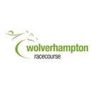 Wolverhampton Races's icon