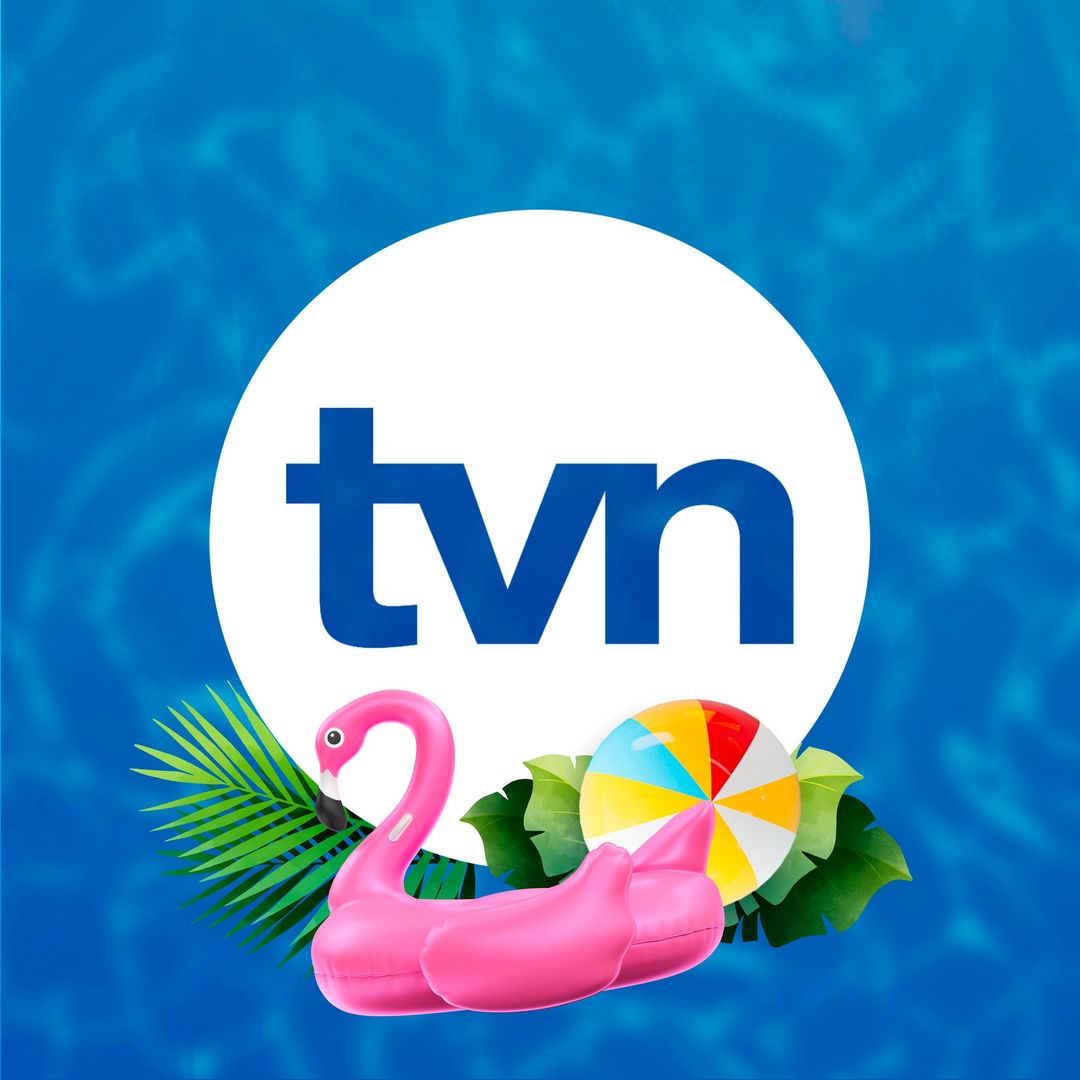 Tvn Panama Logo Brand Assets Svg Png And Vector Brandfetch