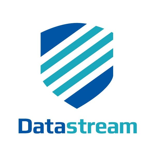 Datastream LLC's icon