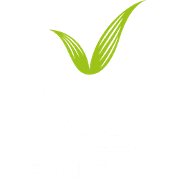 Valeo Foods logo