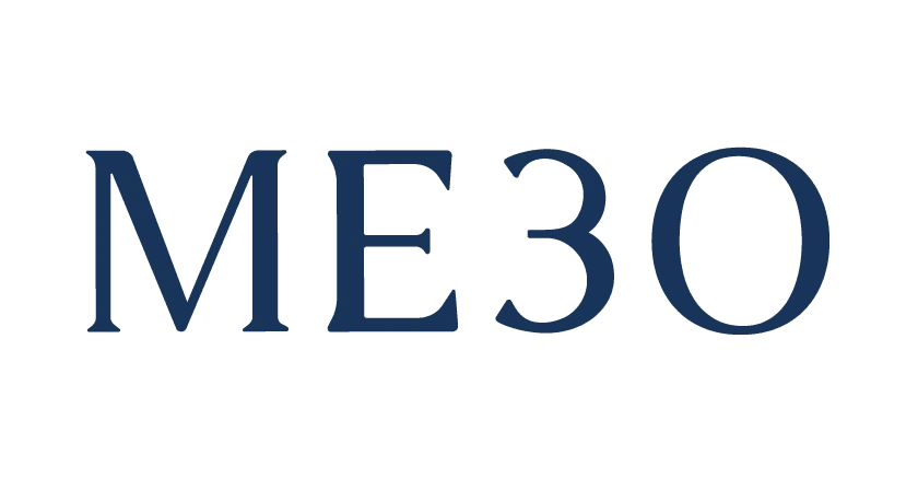 ME30's logos