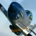 Stallion 51's icon