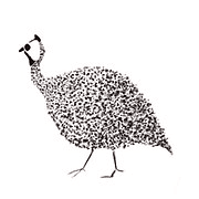 Porch Swing Farms logo