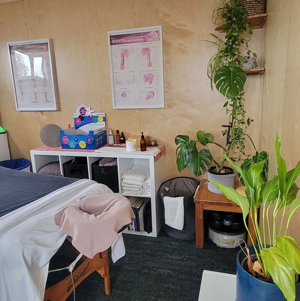Fiordland Massage Clinic's icon