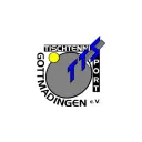 TTS Gottmadingen's icon