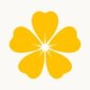 Oxalis Imaging