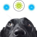 YGIAPro's icon