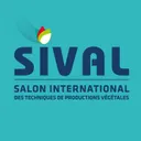 Sival Angers's icon