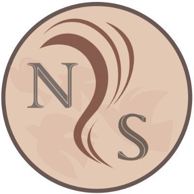 Norse Steam's icon