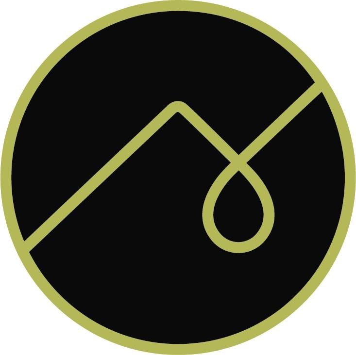 Ski Town Dreams's brand icon