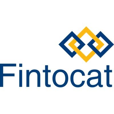 Fintocat's icon