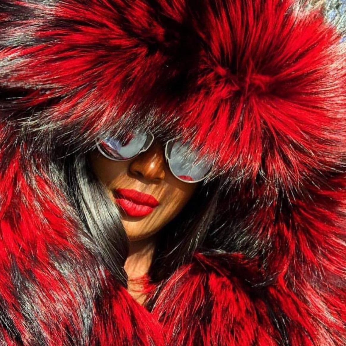 – The Fancy Success's icon