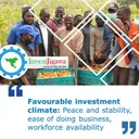 InvestJigawa's icon