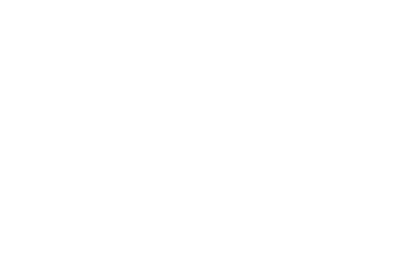 Magna Housing logo