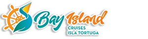 Bay Island, LLC logo