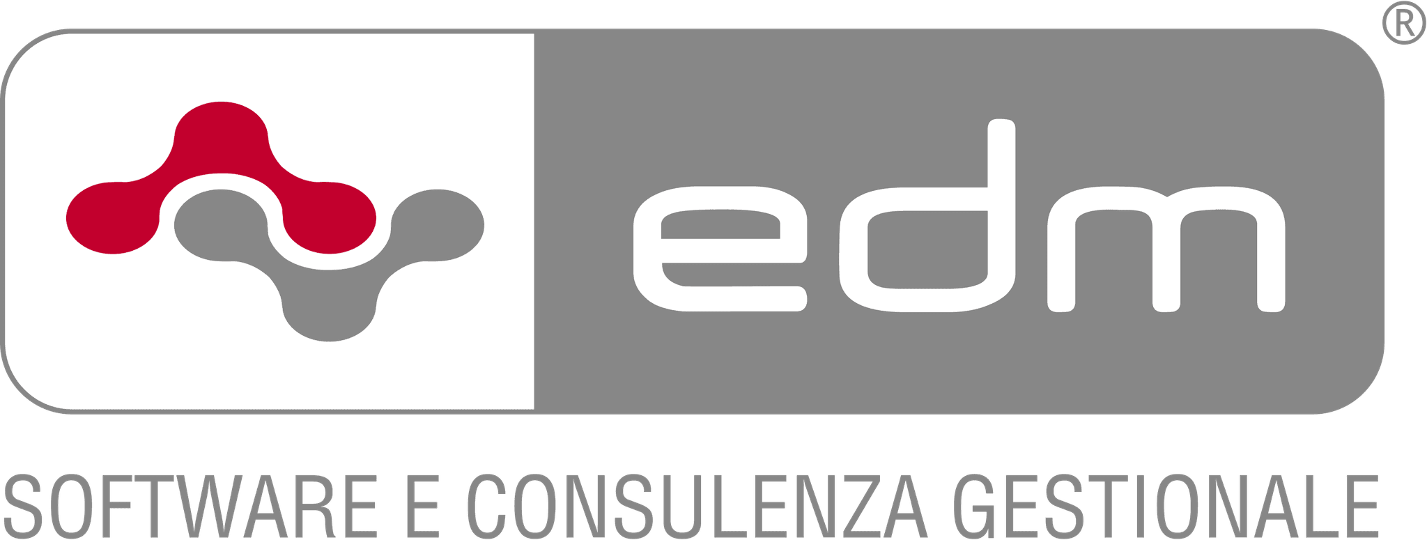 EDM Informatica's logos