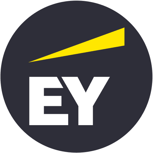 EY Fabric Document Intelligence logo