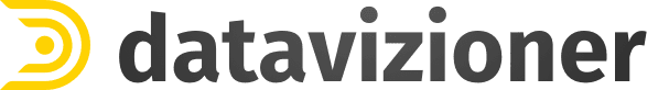 Data Vizioner's logos