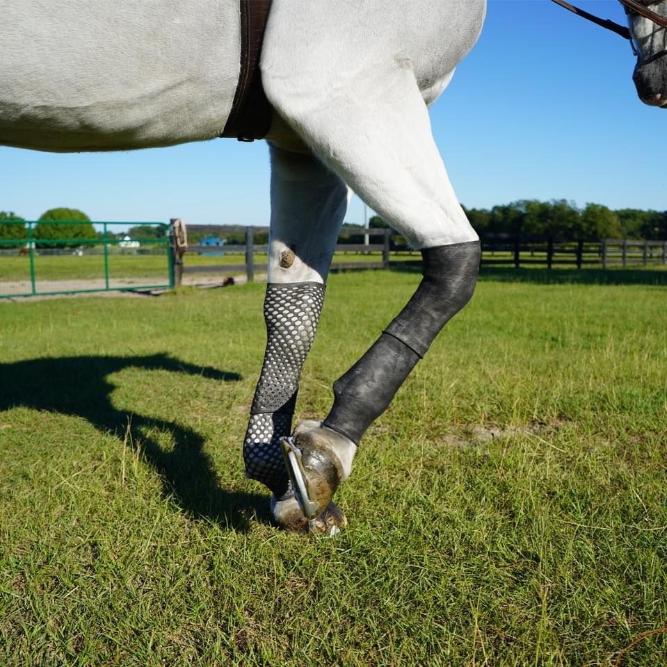 EquineSleeve's icon