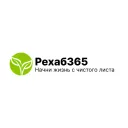 rehab365.ru's icon