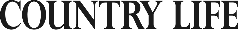 Logo #0