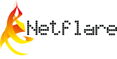 Netflare's logos