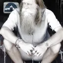 Alfreds Stinkuls's icon