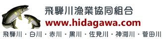 hidagawa.com's logos