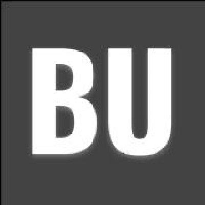 Bridgeupp's icon