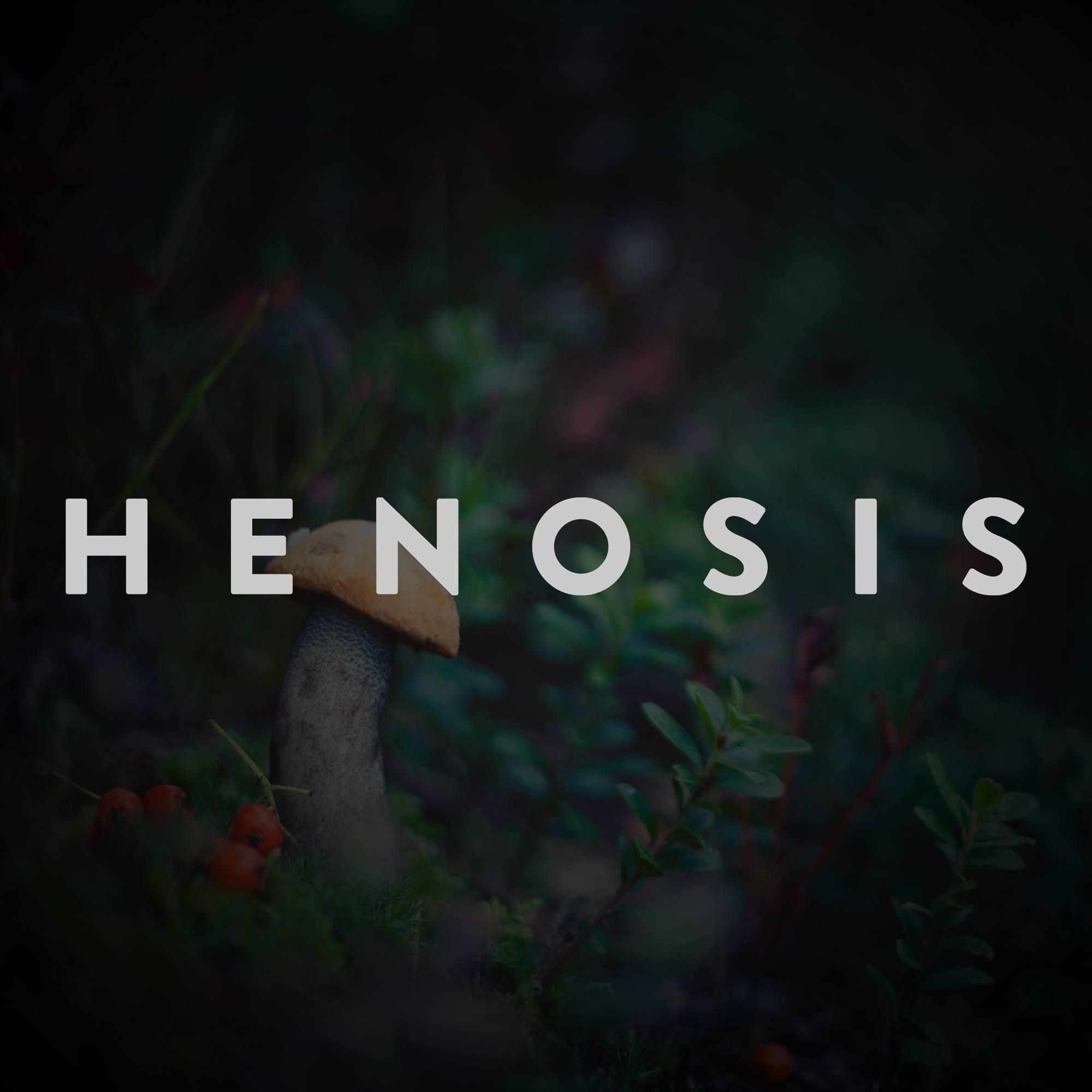 Henosis Mushrooms's icon