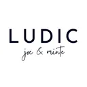Ludic's icon