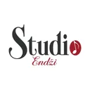 Endzi Mavric Studio's icon