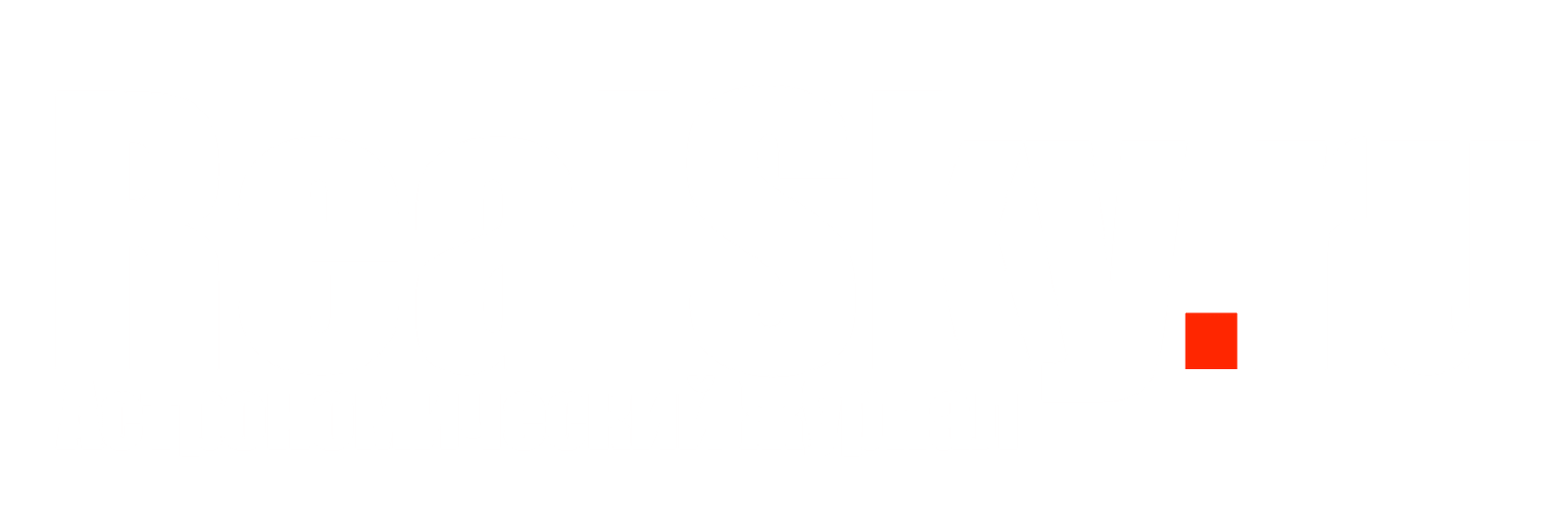 realsky.ru's logos