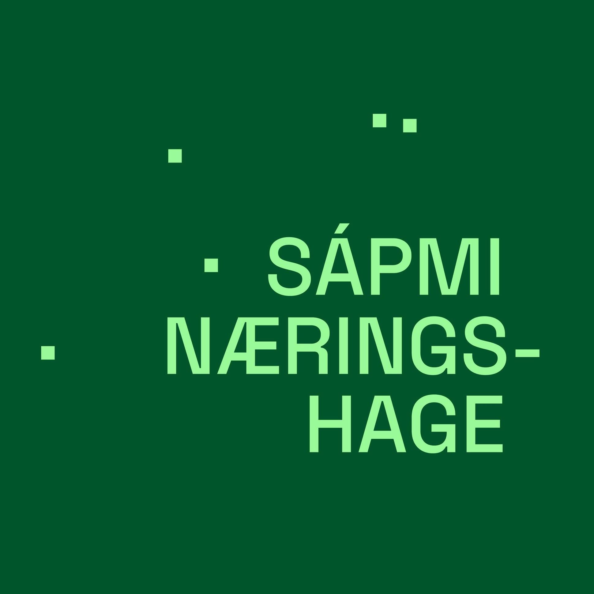 Sápmi Næringshage AS's icon
