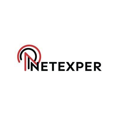 Netexper's icon