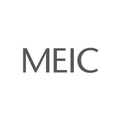 MEICLtd's icon