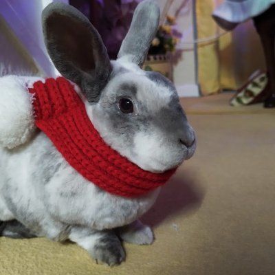 Little Miss Titch's icon
